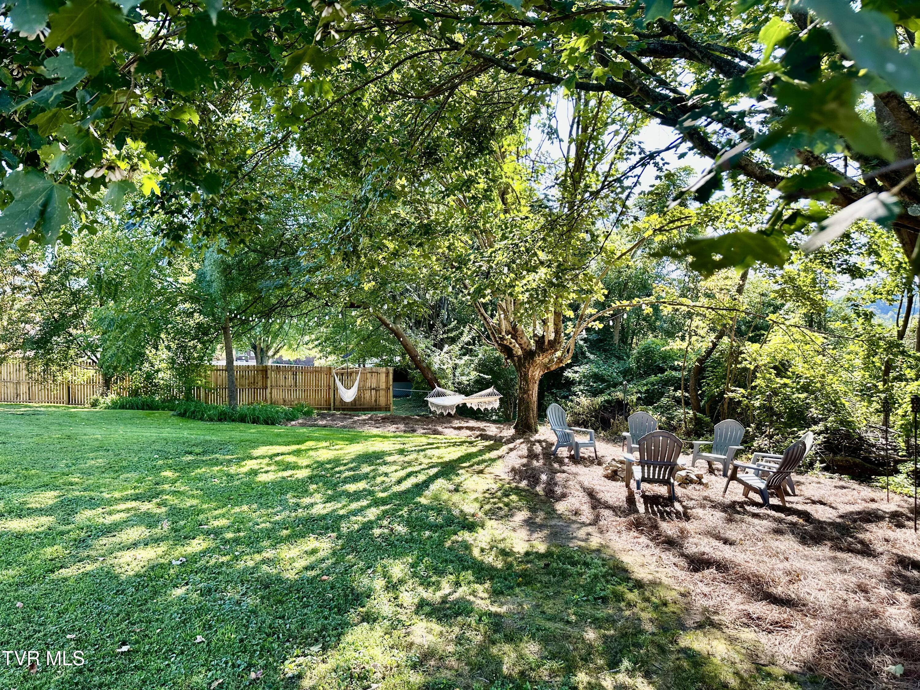 234 Chester Hill Road Bristol, VA 24201 - Photo 24 of 53 IMG_9922