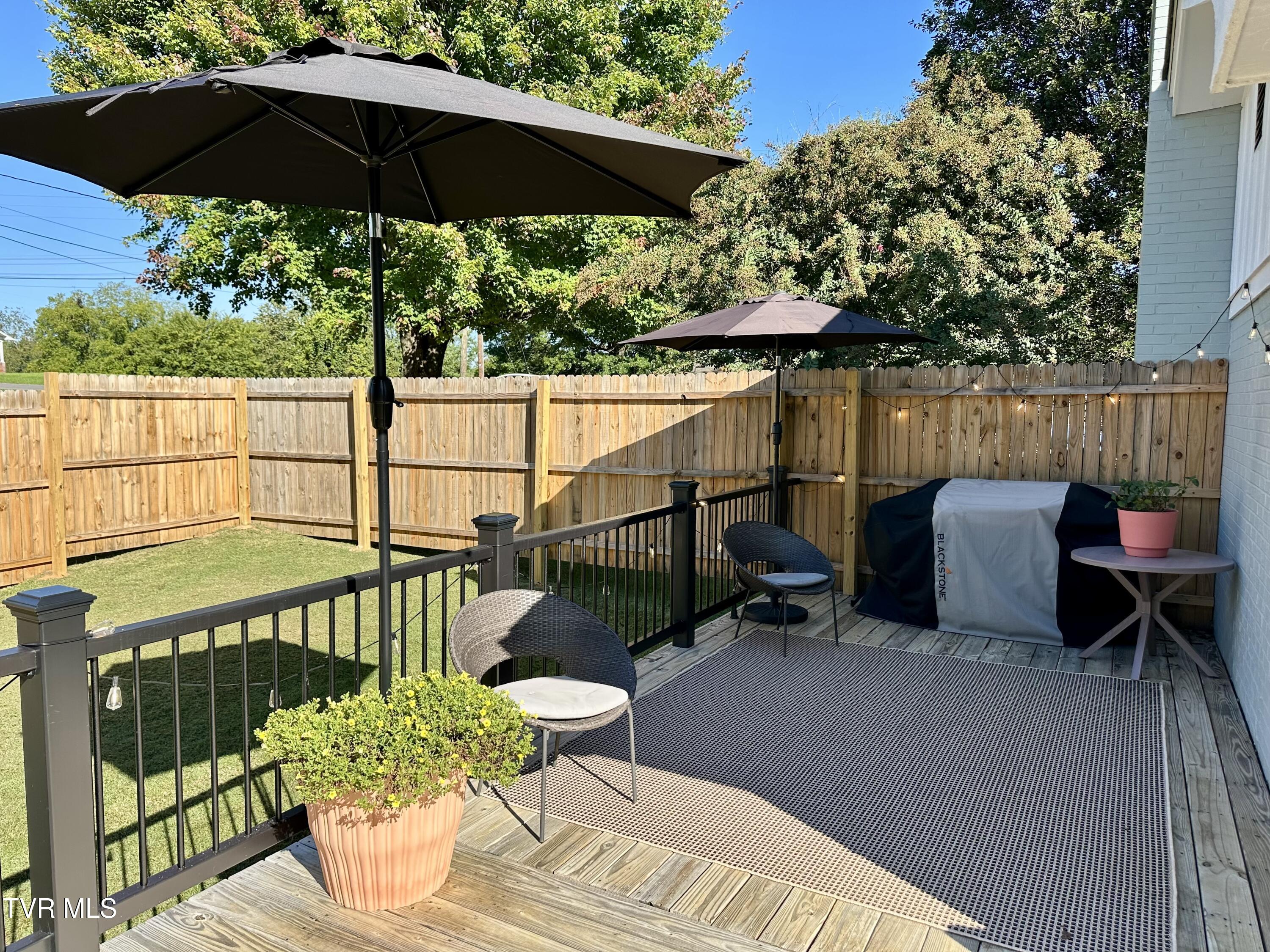 234 Chester Hill Road Bristol, VA 24201 - Photo 25 of 53 IMG_9926