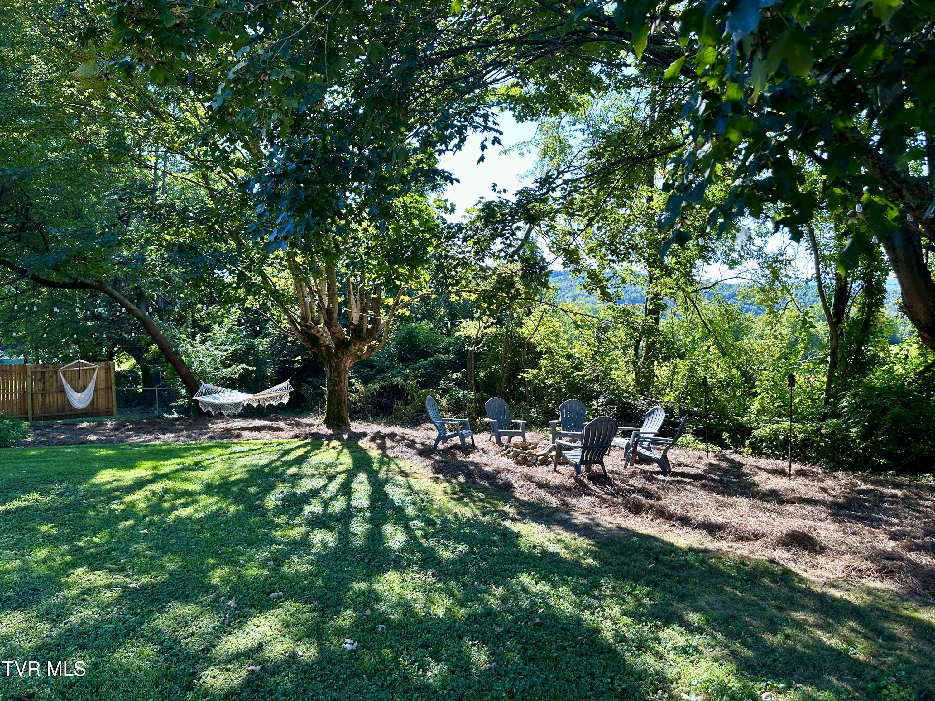 234 Chester Hill Road Bristol, VA 24201 - Photo 26 of 53 IMG_9928