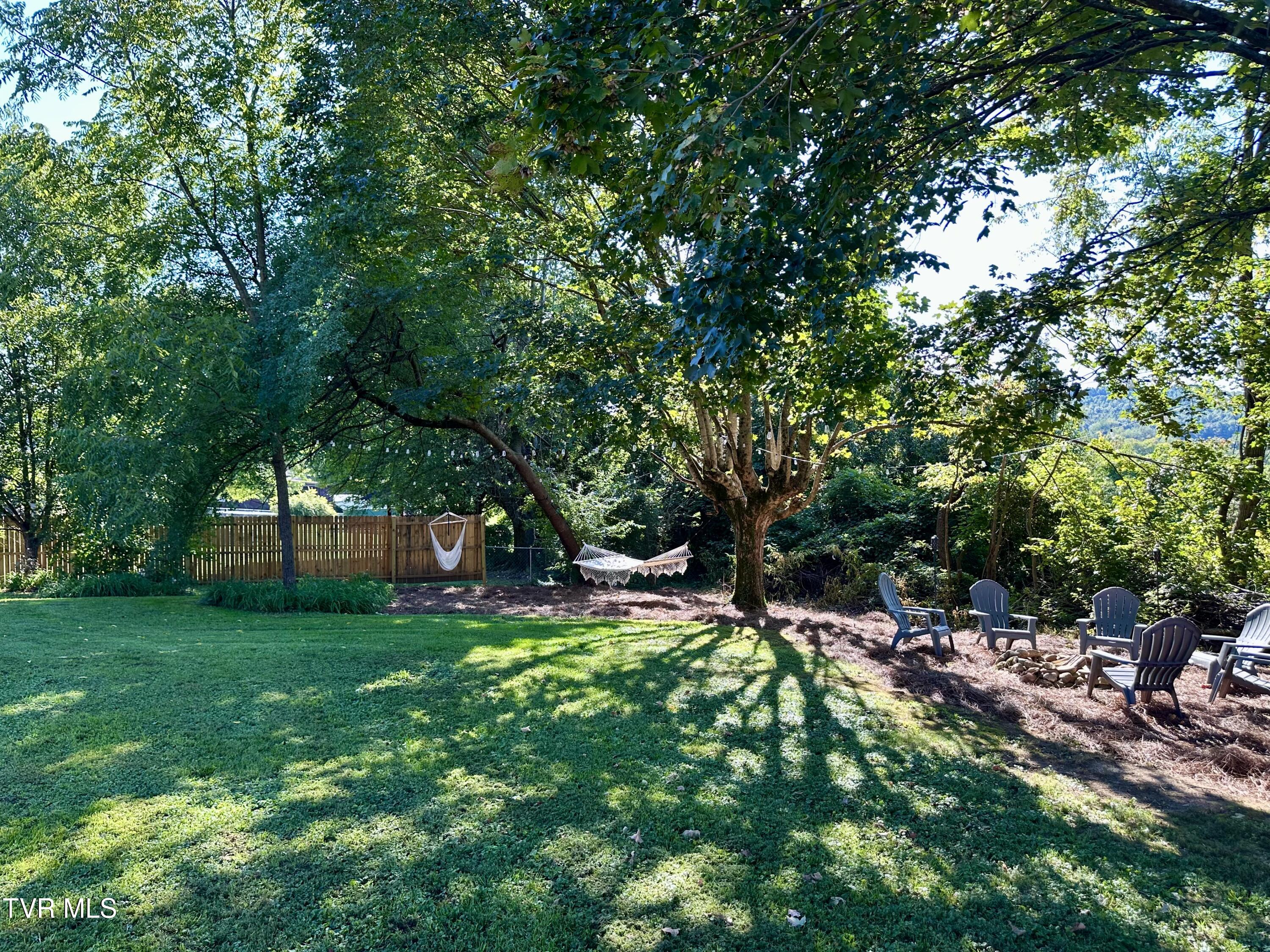 234 Chester Hill Road Bristol, VA 24201 - Photo 28 of 53 IMG_9929