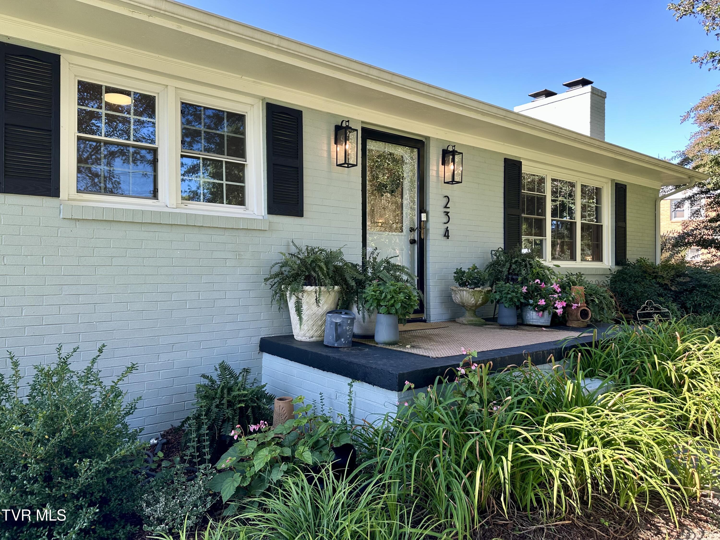 234 Chester Hill Road Bristol, VA 24201 - Photo 3 of 53 IMG_9901