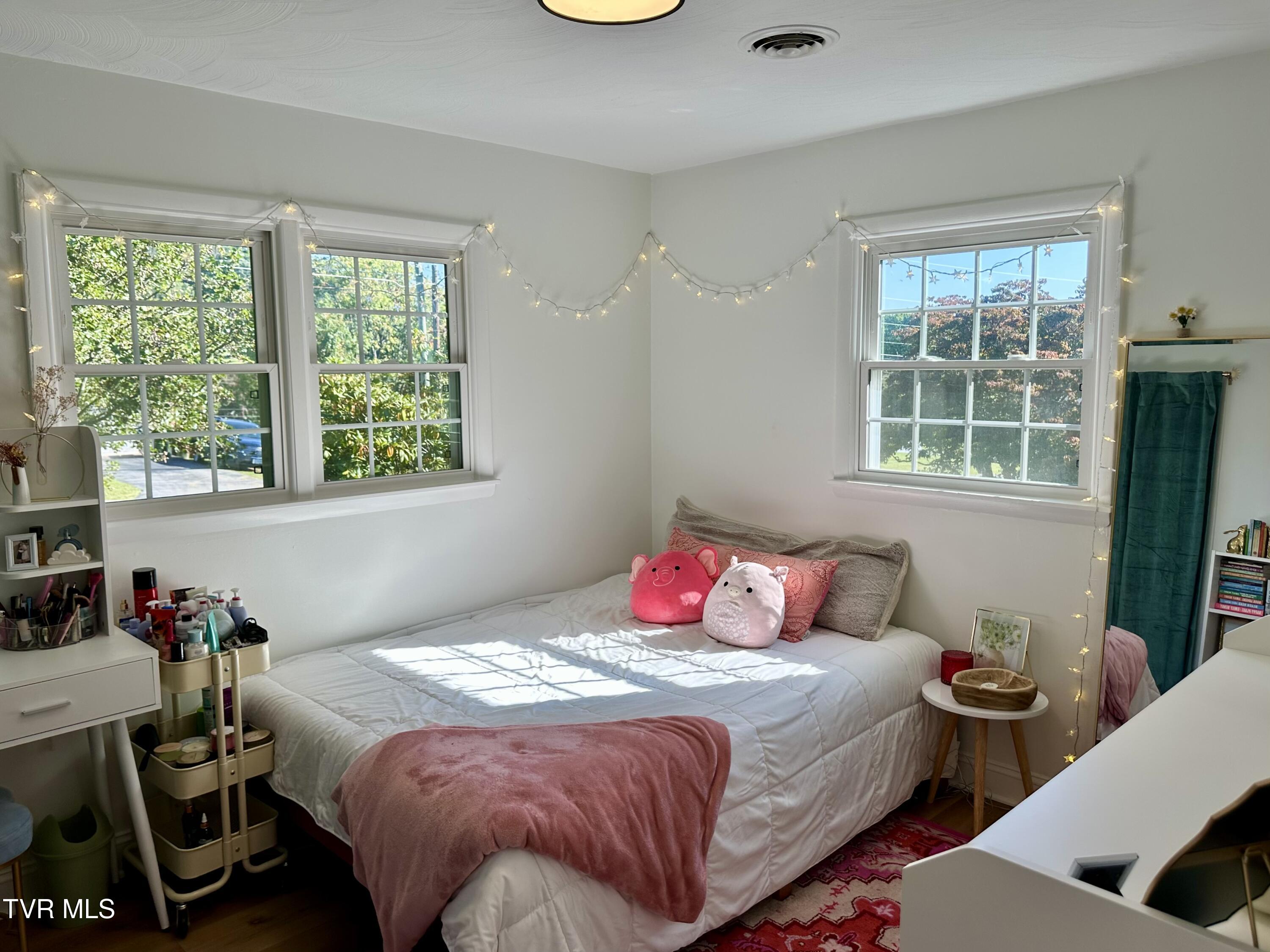 234 Chester Hill Road Bristol, VA 24201 - Photo 48 of 53 IMG_9946