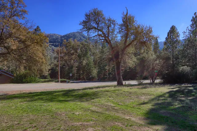 a backyard of a house with lots of green space