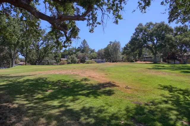 a view of a field with trees in the background