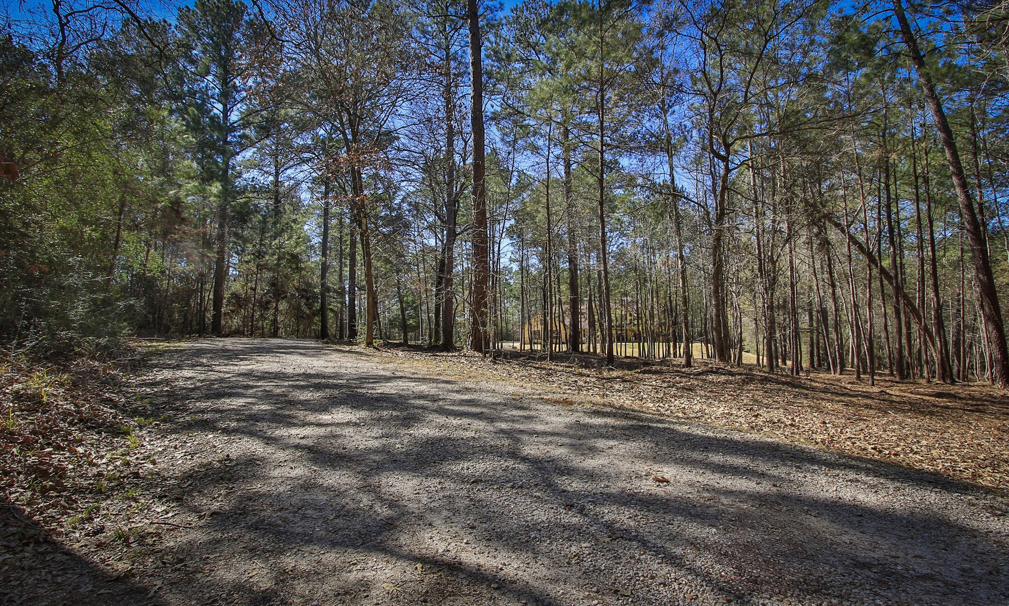 1142 Fletcher Anderson, TX 77830 - Photo 4 of 48