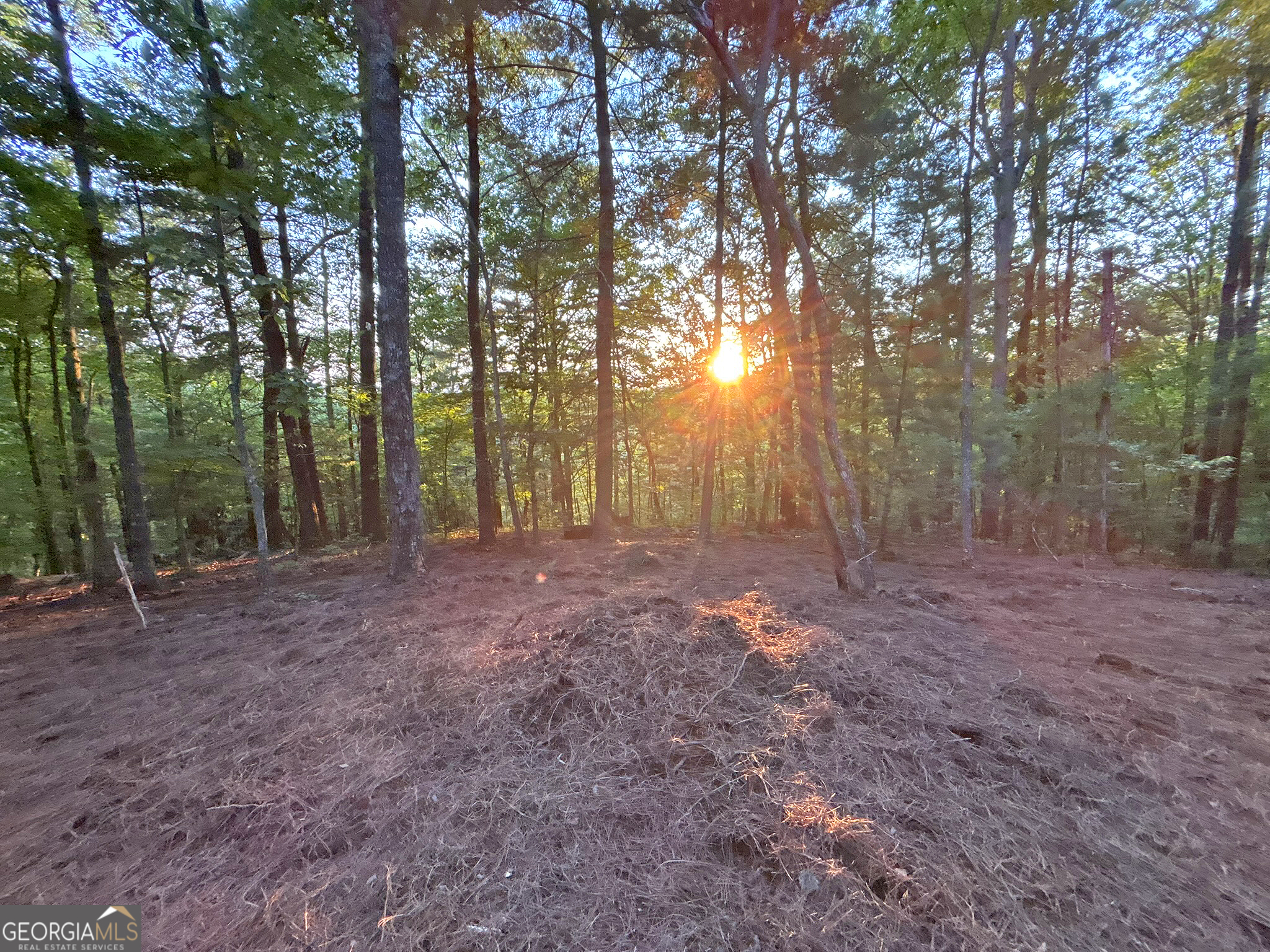 Lot 18 Mt Springer Road Ellijay, GA 30540 - Photo 10 of 31