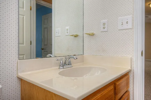 a bathroom with a sink and a mirror