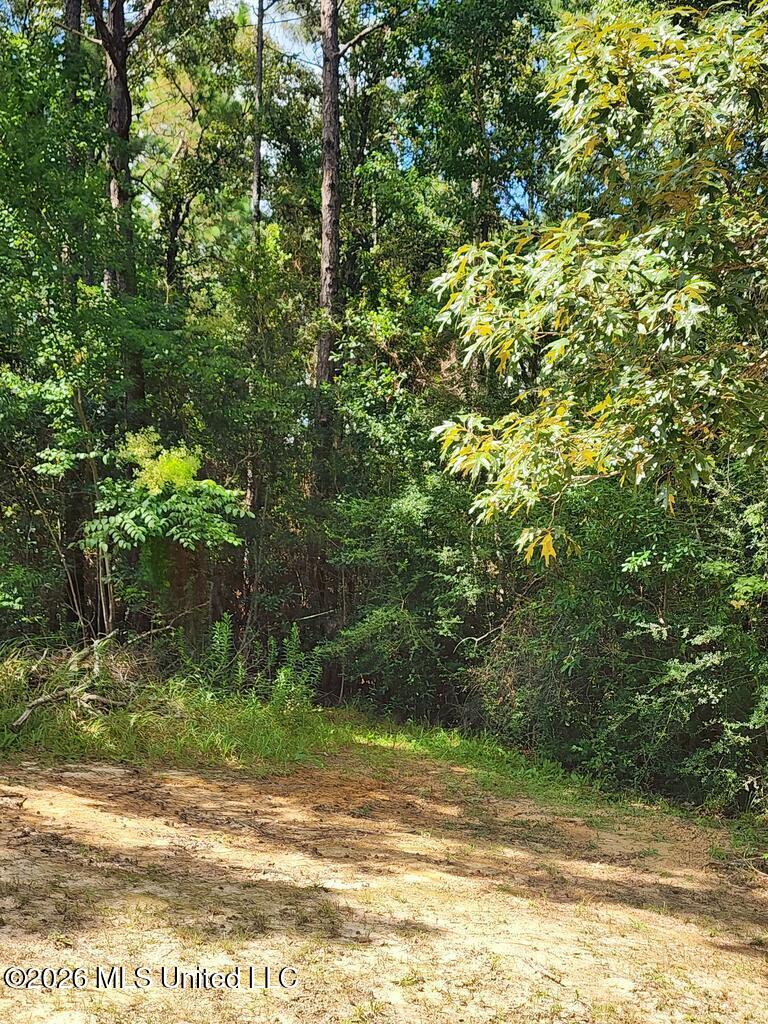 16509 McGregor Road Vancleave, MS 39565 - Photo 1 of 7 189220_0