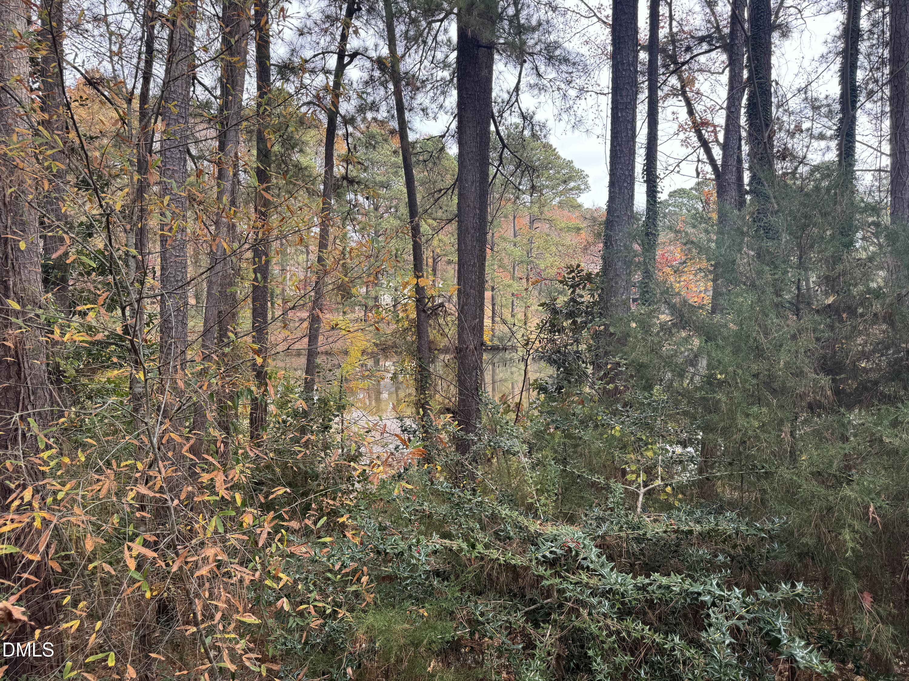 677 Pine Ridge Place, Unit 677 Raleigh, NC 27609 - Photo 8 of 9 a view of forest