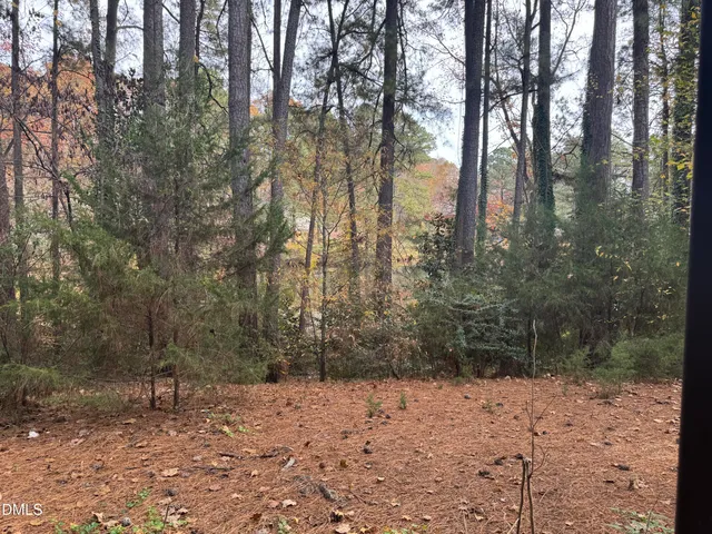 a view of an outdoor space with trees