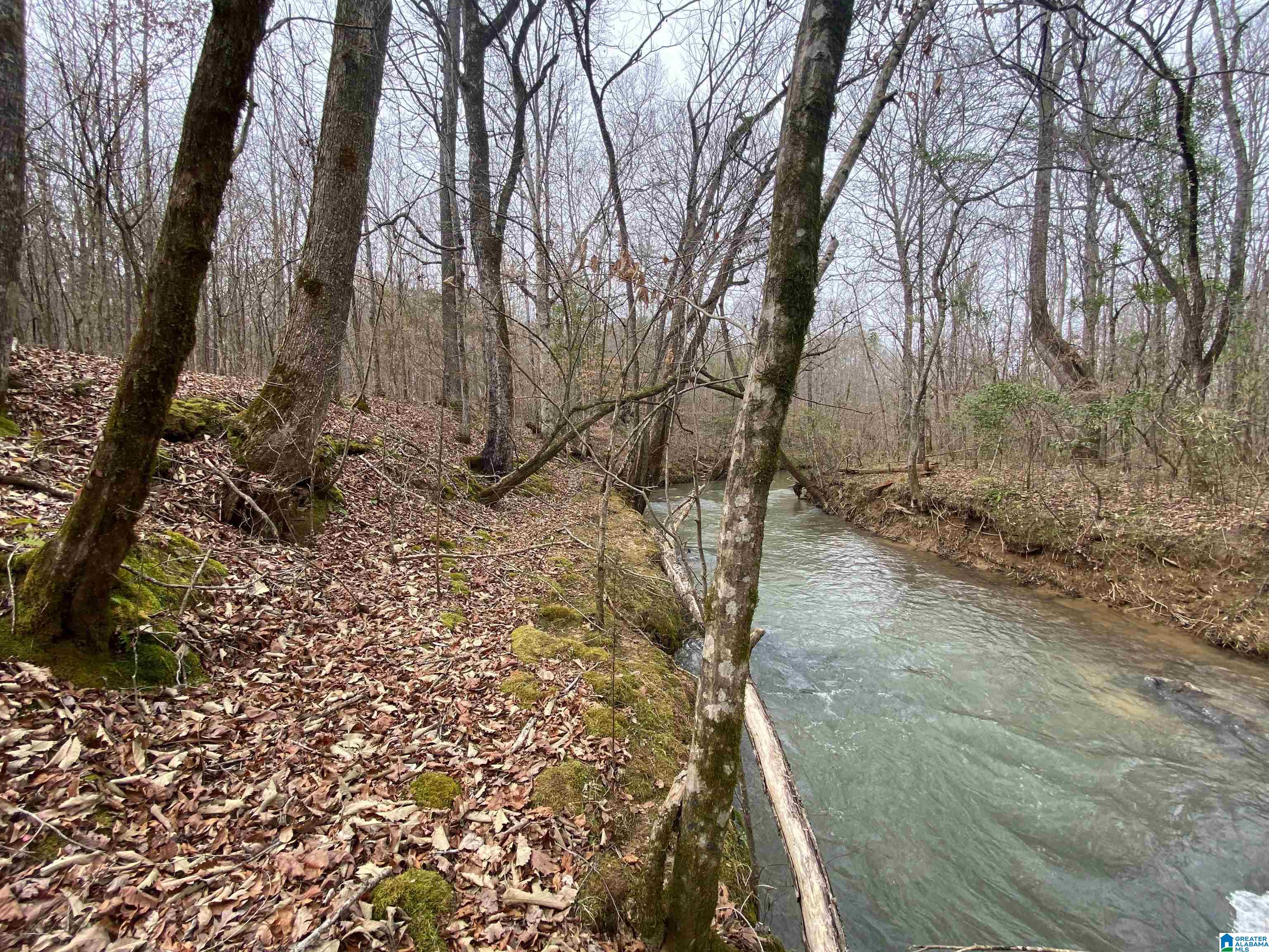 0 Sweatt Road, Unit TRACT C 29 / ACRES Steele, AL 35987 - Photo 6 of 9