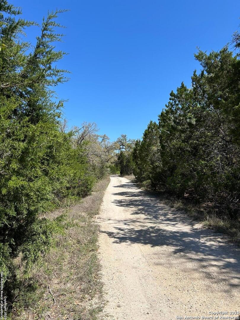 0 North State Highway 16 Helotes, TX 78023 - Photo 4 of 17 a view of a yard with wooden fence