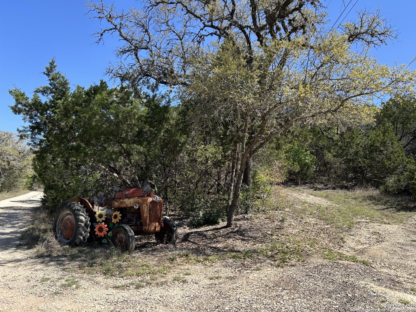 0 North State Highway 16 Helotes, TX 78023 - Photo 5 of 17 a view of a dirt road with large trees