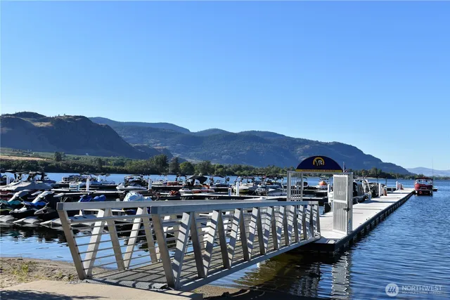 a view of a park with large trees