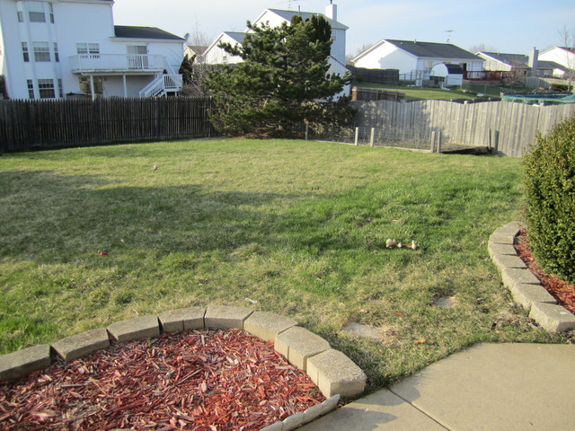 3414 Harbor Ridge Drive Zion, IL 60099 - Photo 9 of 9