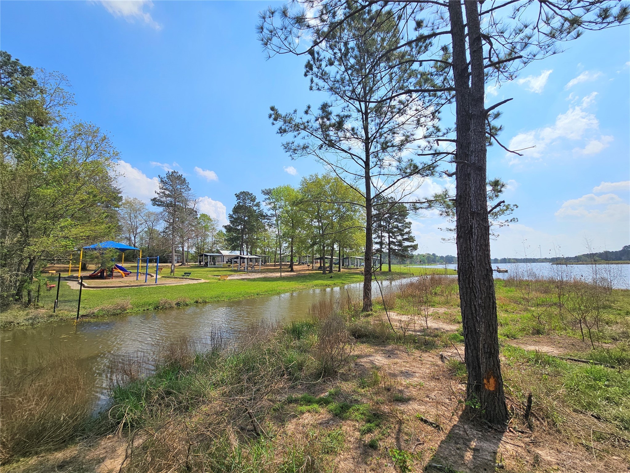19360 Cabango Drive Porter, TX 77365 - Photo 5 of 6 a view of swimming pool with a yard and lake view