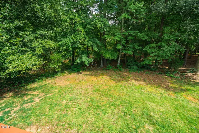 a view of a trees in a yard