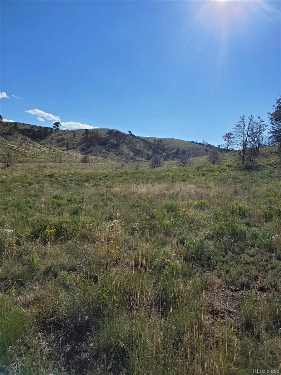 7701 Marie Road Fort Garland, CO 81133 - Photo 11 of 17 Gallery Image 11