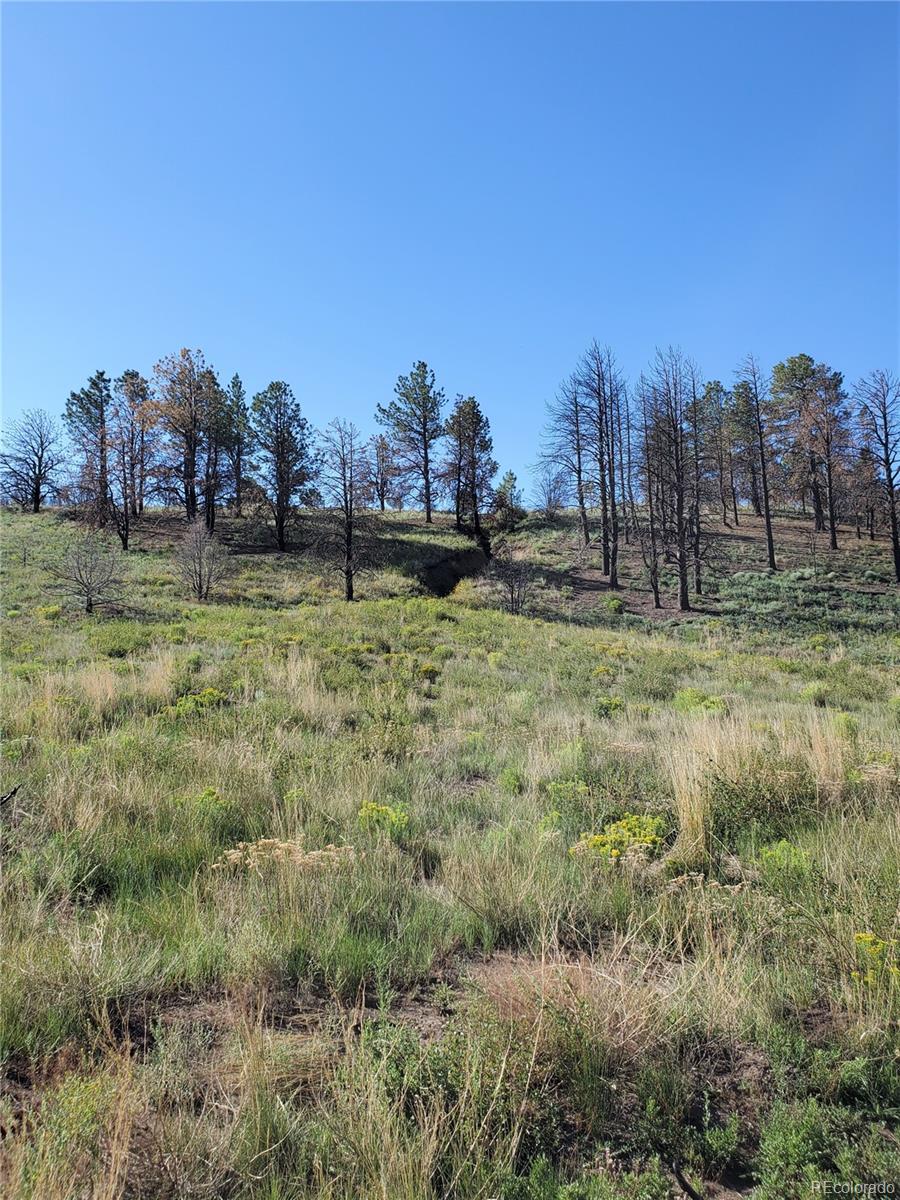 7701 Marie Road Fort Garland, CO 81133 - Photo 13 of 17 Gallery Image 13