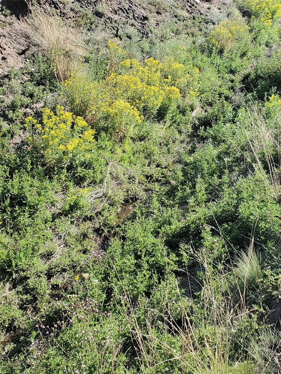 7701 Marie Road Fort Garland, CO 81133 - Photo 14 of 17 Gallery Image 14