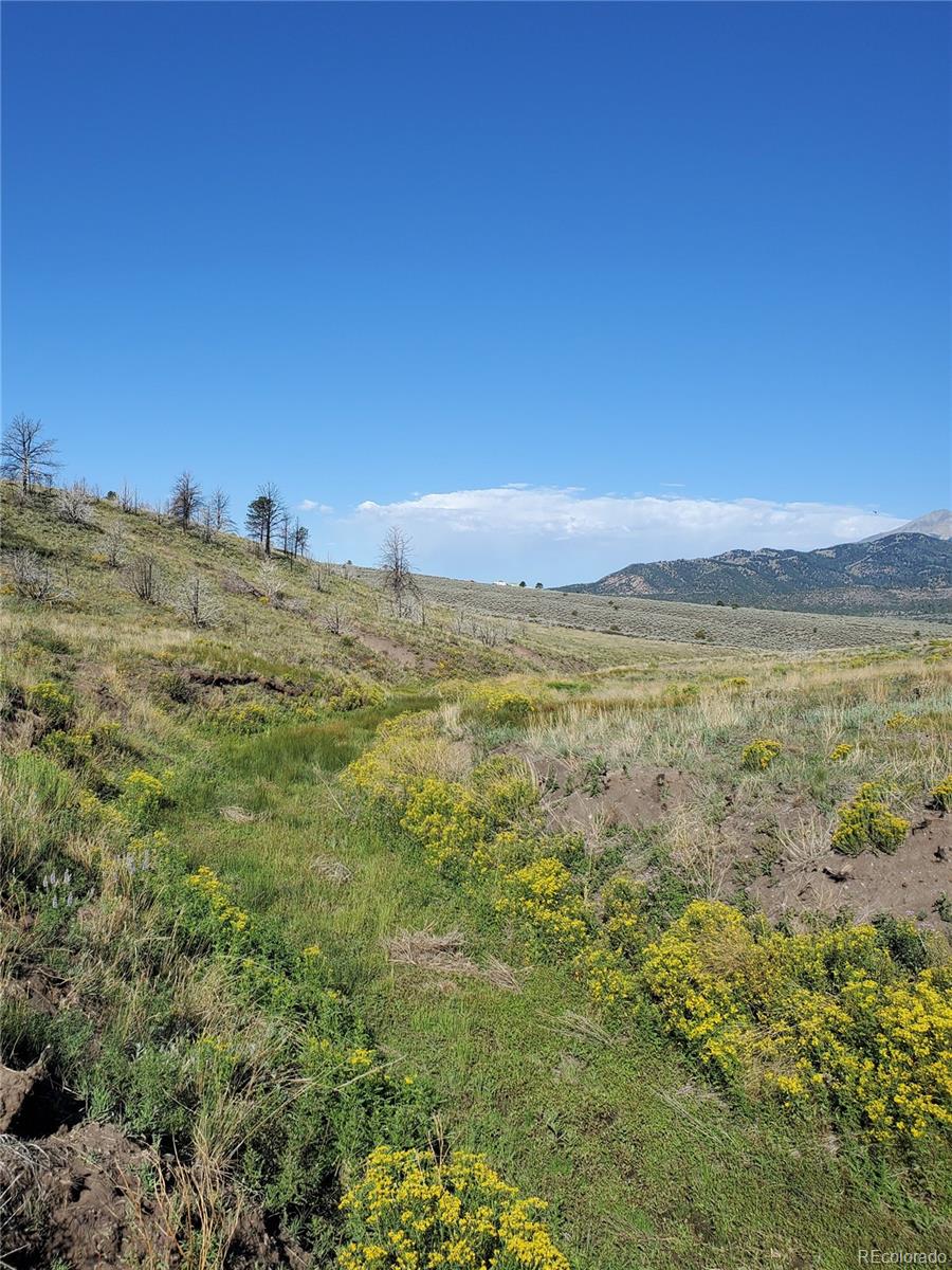 7701 Marie Road Fort Garland, CO 81133 - Photo 15 of 17 Gallery Image 15