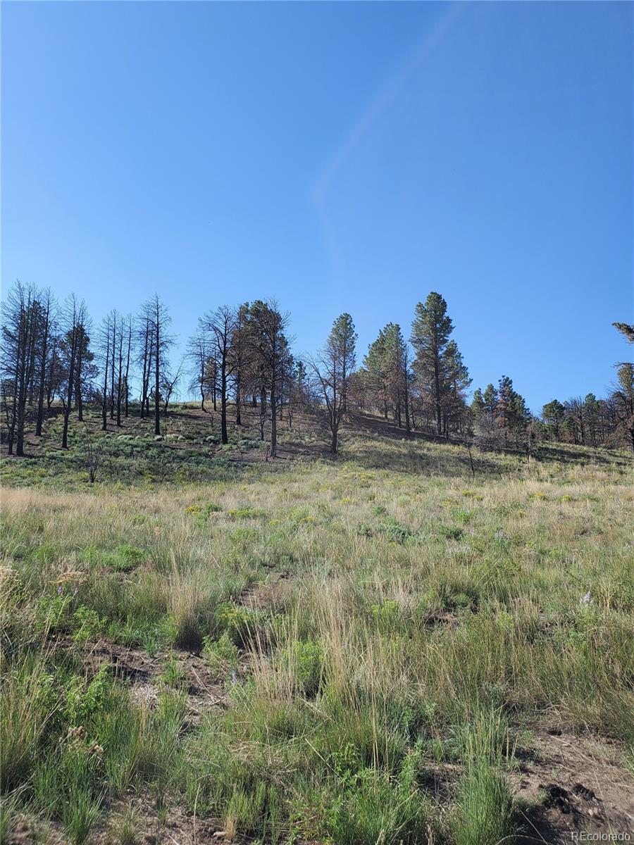 7701 Marie Road Fort Garland, CO 81133 - Photo 16 of 17 Gallery Image 16