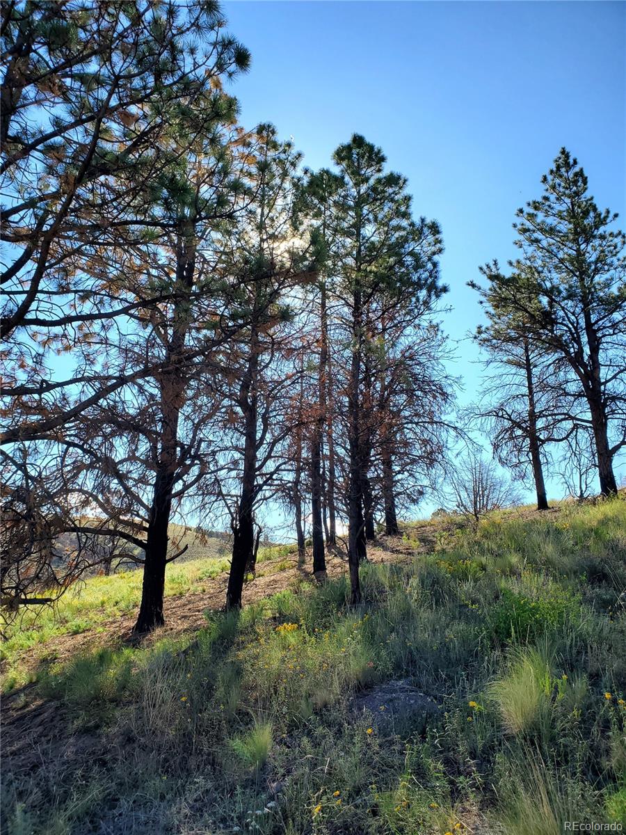 7701 Marie Road Fort Garland, CO 81133 - Photo 10 of 17 Gallery Image 10