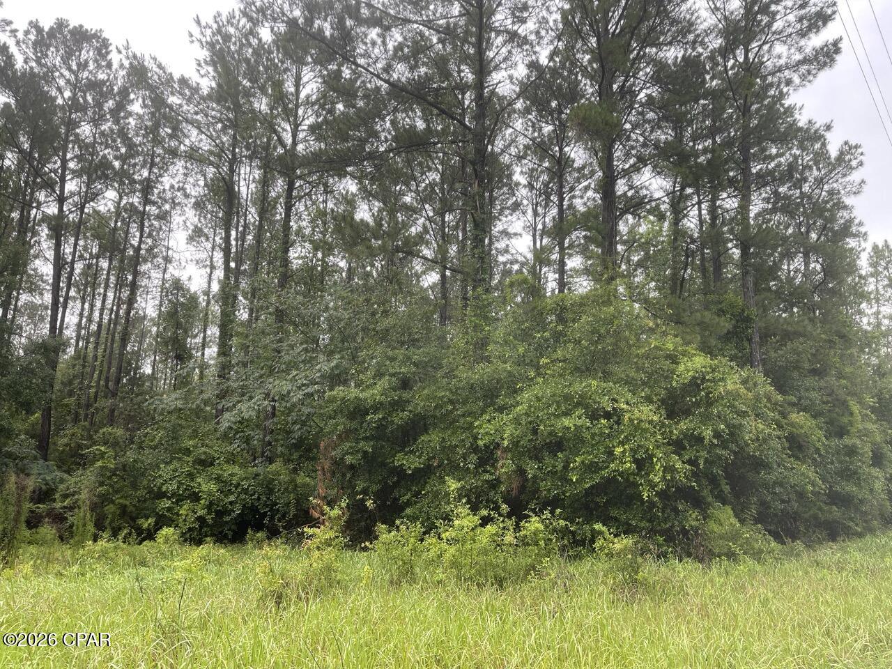 0 Beall Packing House Road Bonifay, FL 32425 - Photo 4 of 9