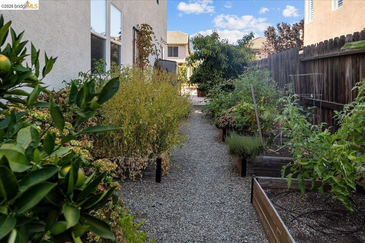 653 Bouma Lane Ripon, CA 95366 - Photo 39 of 39 Gravel pathway bordered by mature plantings, raised garden beds, and a wood fence