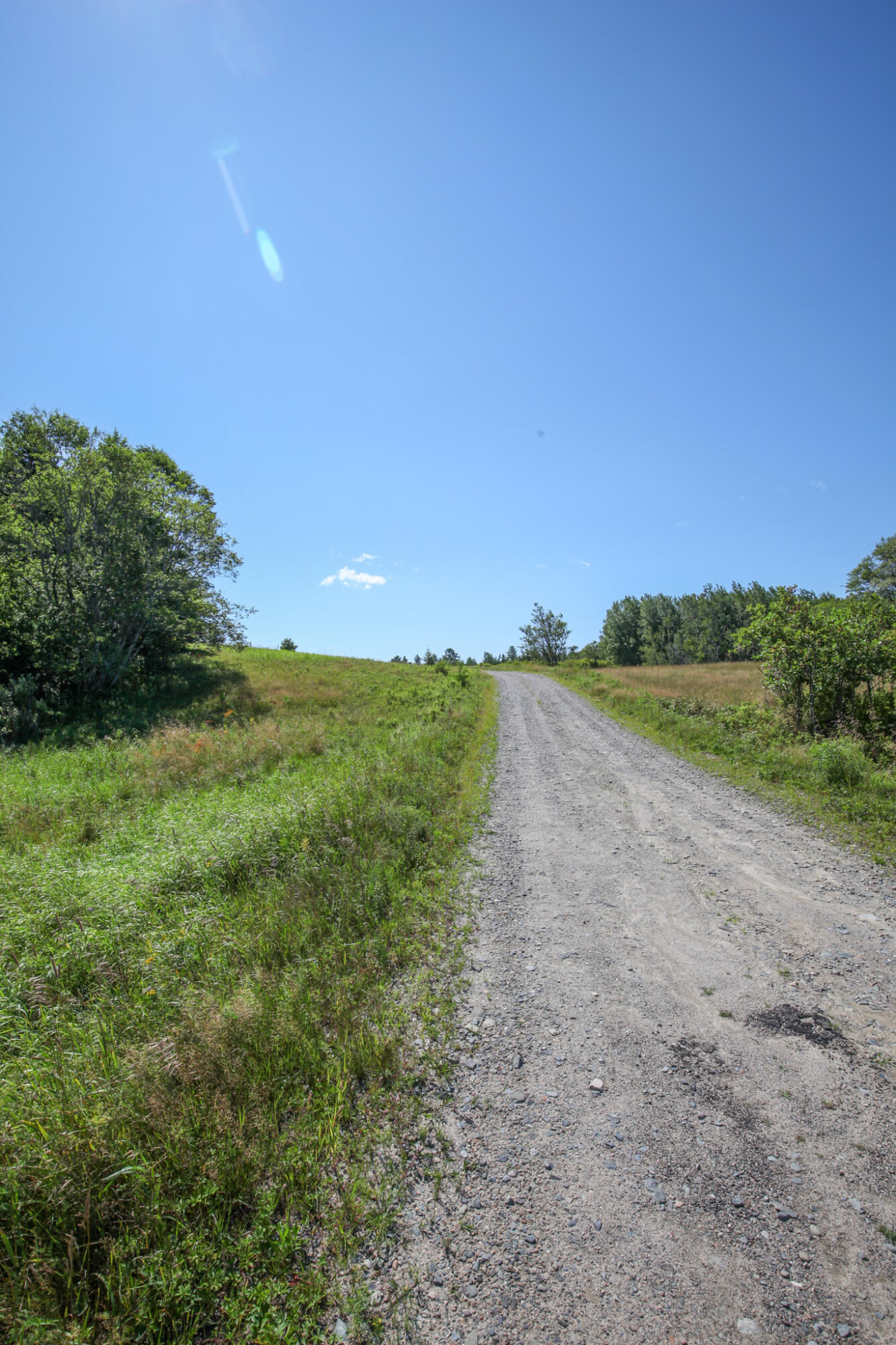 Lot 2 Meserve Point Road Machias, ME 04654 - Photo 27 of 28 IMG_0224