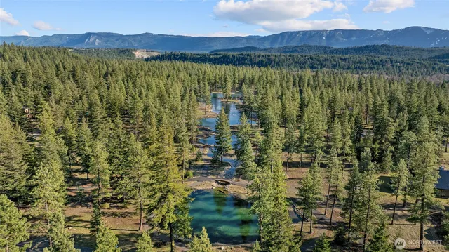 a view of lake and mountain