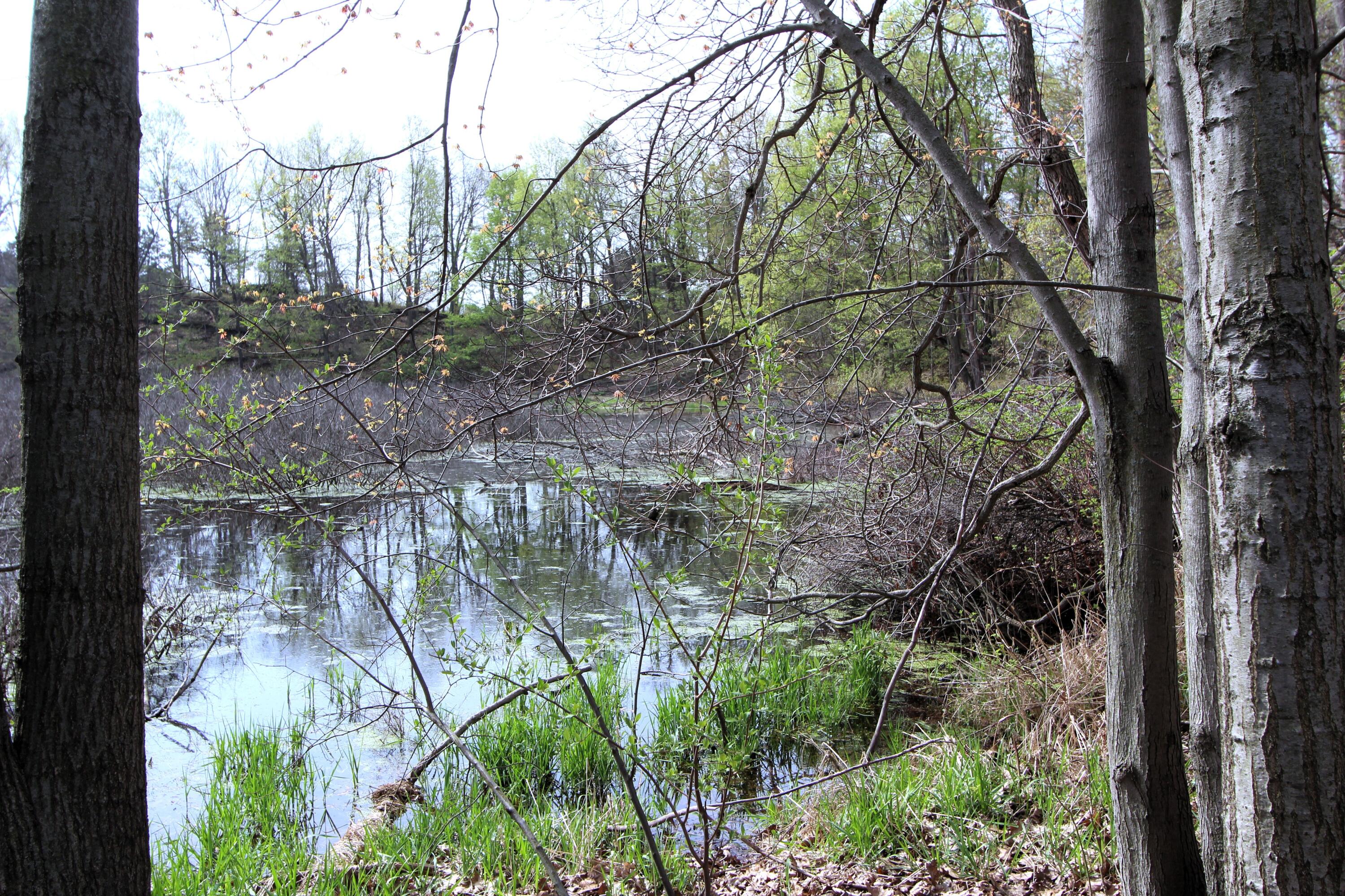 IMG_7113 acres 8.86