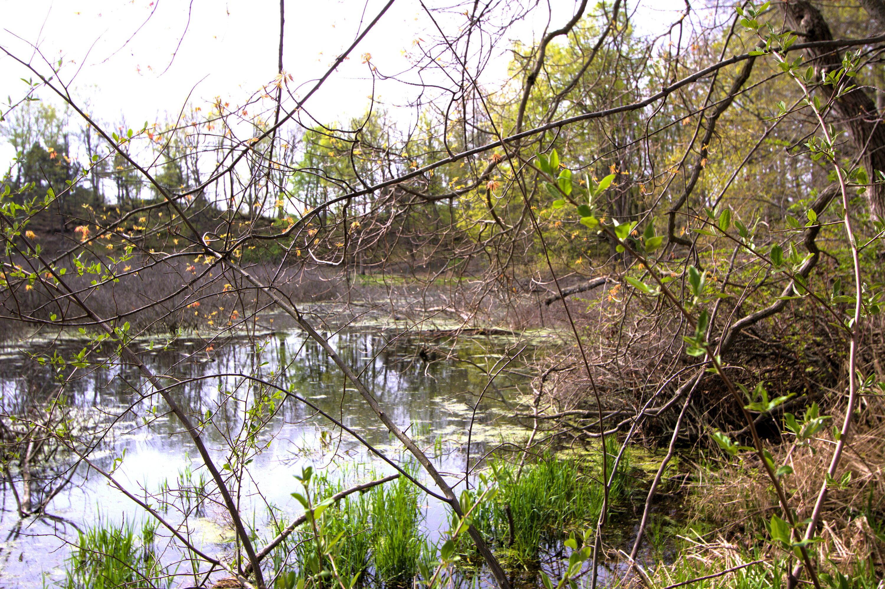 V/l Frost Road Portland, MI 48875 - Photo 12 of 15 Pond on 8.86 acres