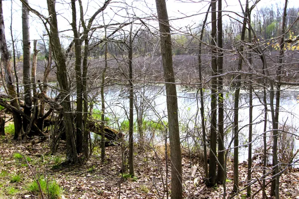$150,000 | V/l Frost Road, Portland, MI 48875