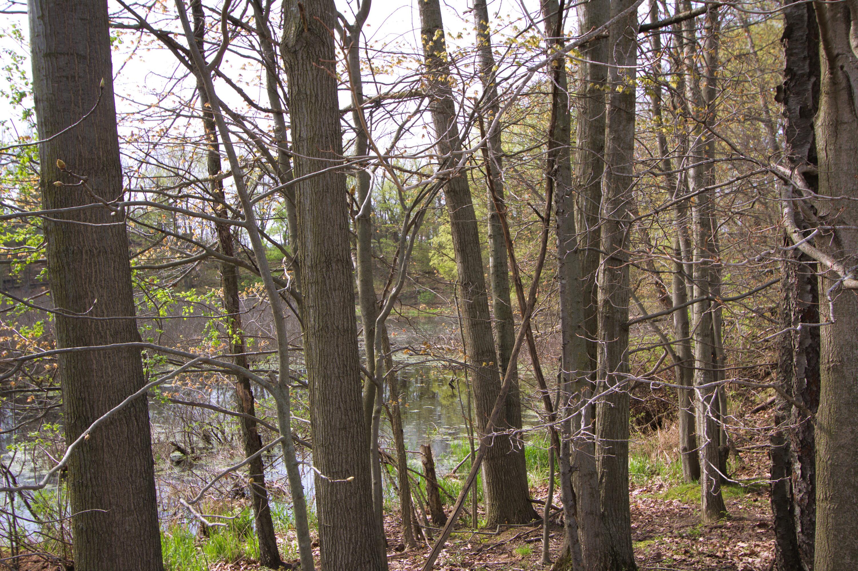 V/l Frost Road Portland, MI 48875 - Photo 5 of 15 IMG_7112 pond 8.86