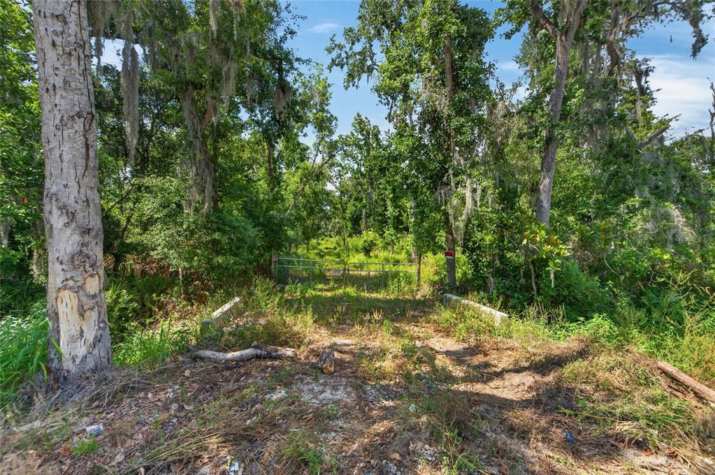 672 Highway Lithia Lithia, FL 33547 - Photo 22 of 24