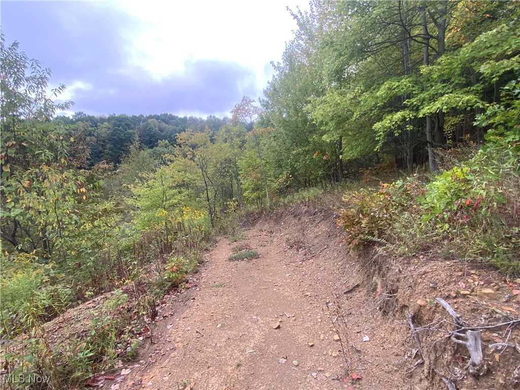 Taylor Road Dennison, OH 44621 - Photo 22 of 27 View of local wilderness with a wooded view