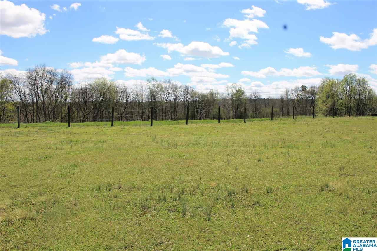 3300 Armstrong Loop Road Hayden, AL 35079 - Photo 5 of 42 Gallery Image 5