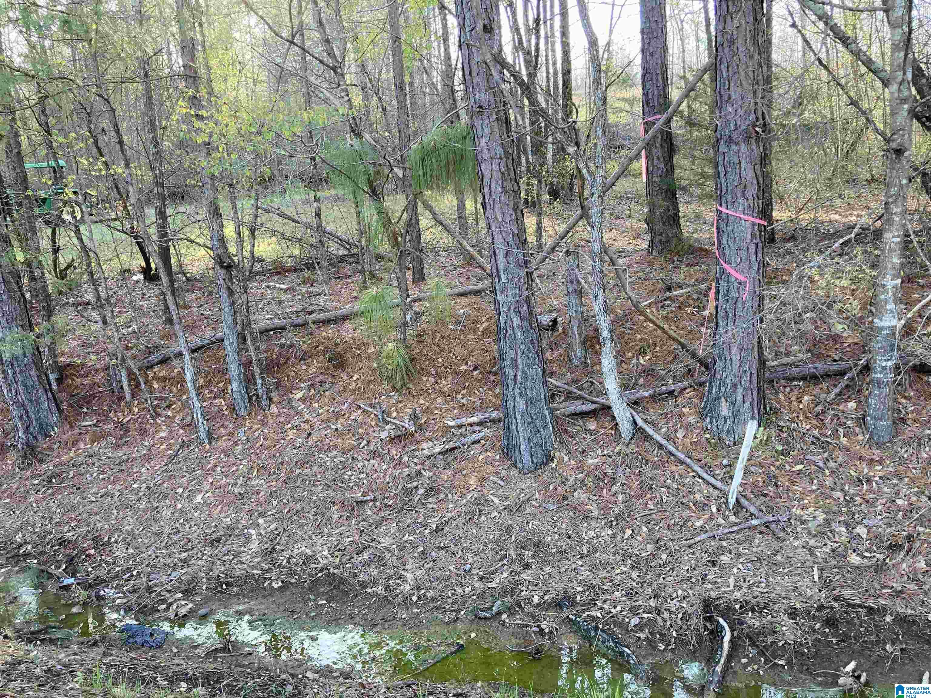 0 Jackson Trace Road, Unit 4 1 Talladega, AL 35160 - Photo 22 of 27