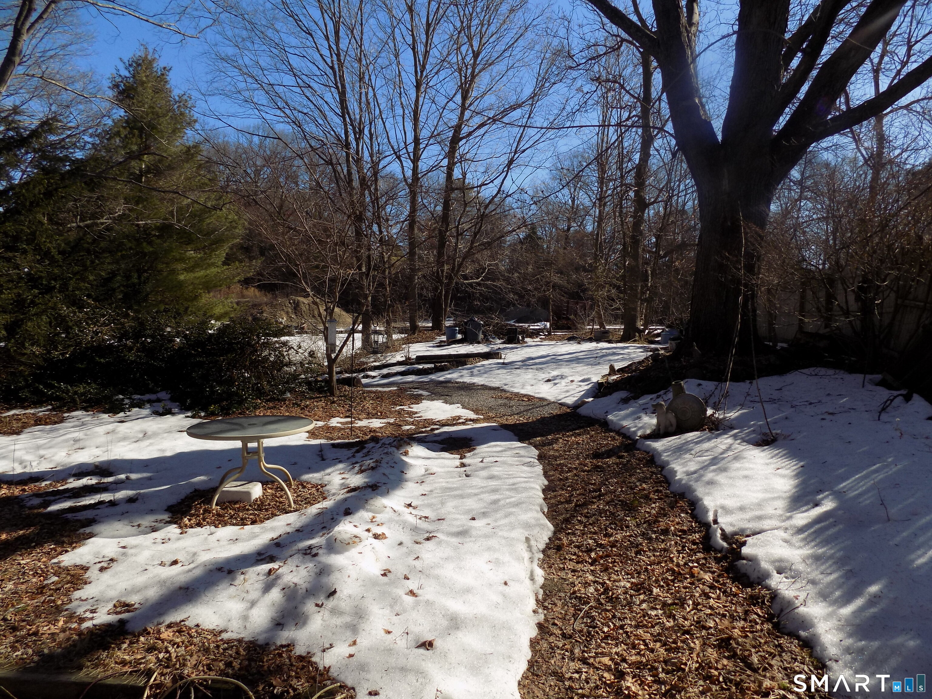 149 South Riverside Avenue Plymouth, CT 06781 - Photo 11 of 12 a view of the backyard of the house