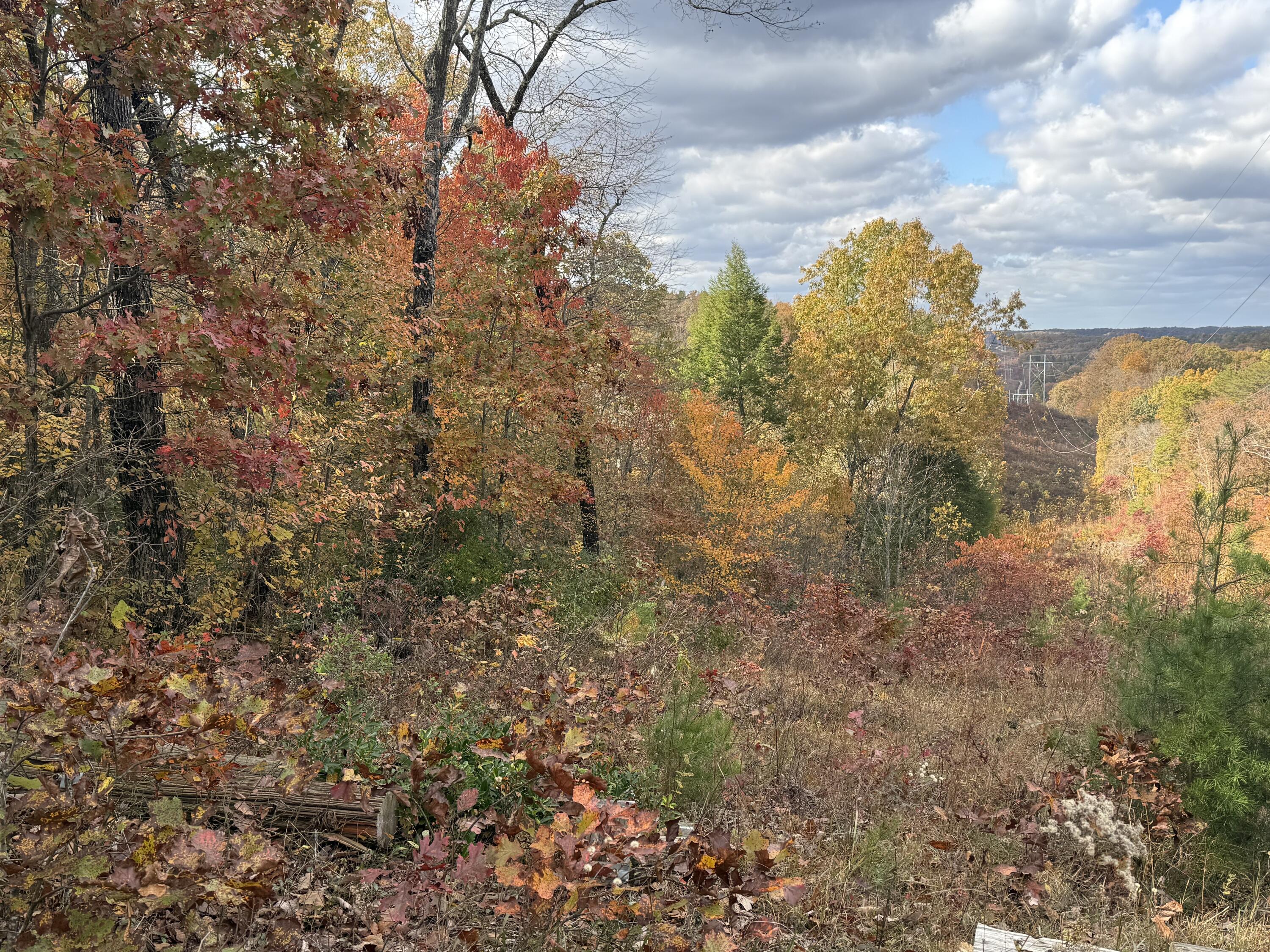 0 Bee Creek Road Corbin, KY 40701 - Photo 6 of 13 IMG_3678