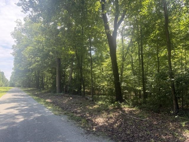 175 Duck Road Holladay, TN 38341 - Photo 22 of 26 Gallery Image 22
