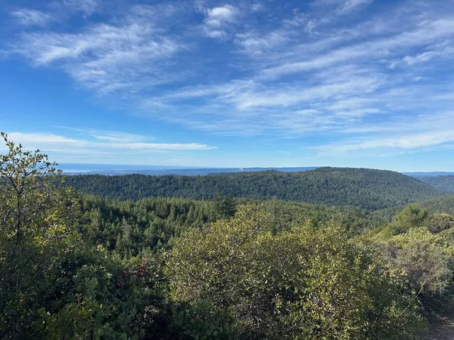 a view of a green field