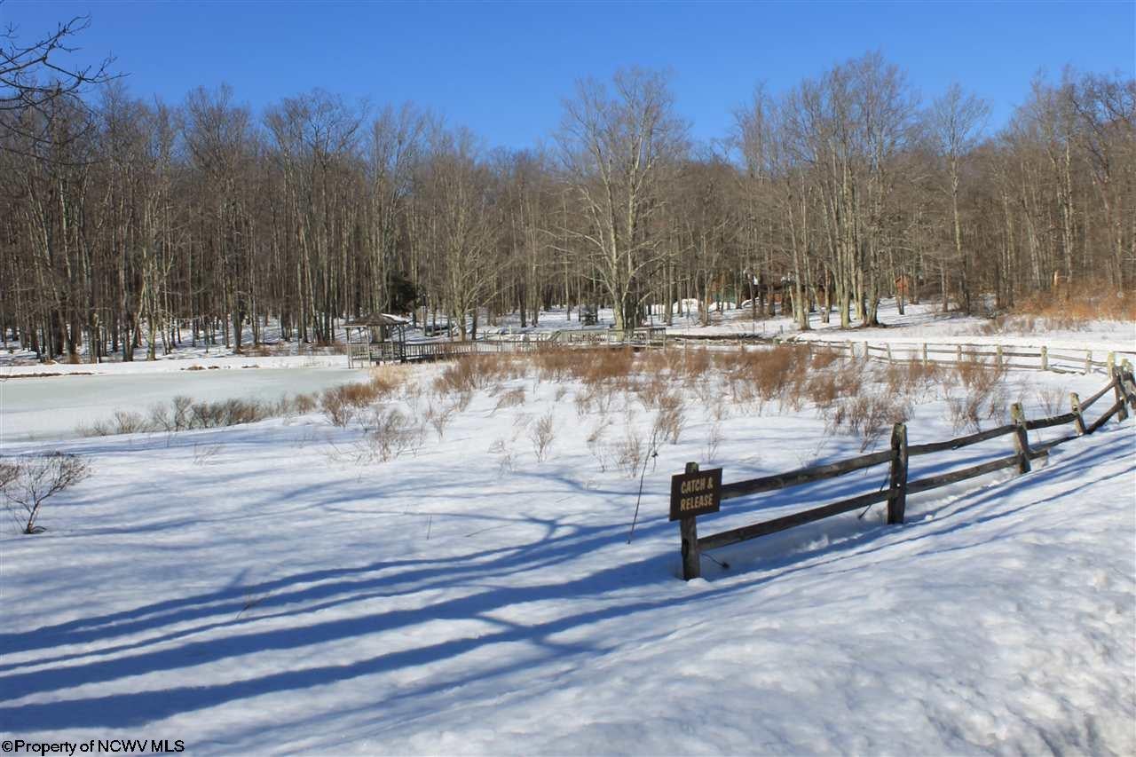 0 Maple Davis, WV 26260 - Photo 11 of 12 Gallery Image 11