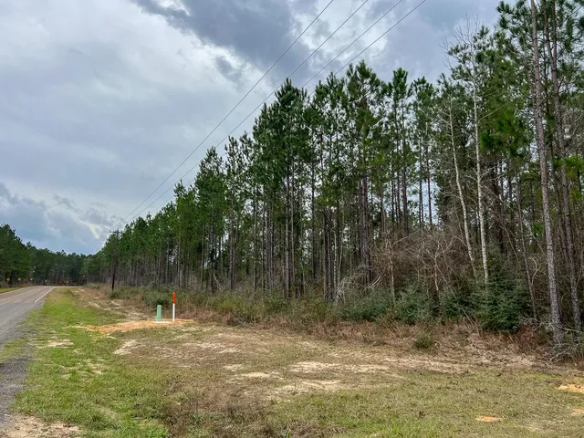 a view of a yard with a tree