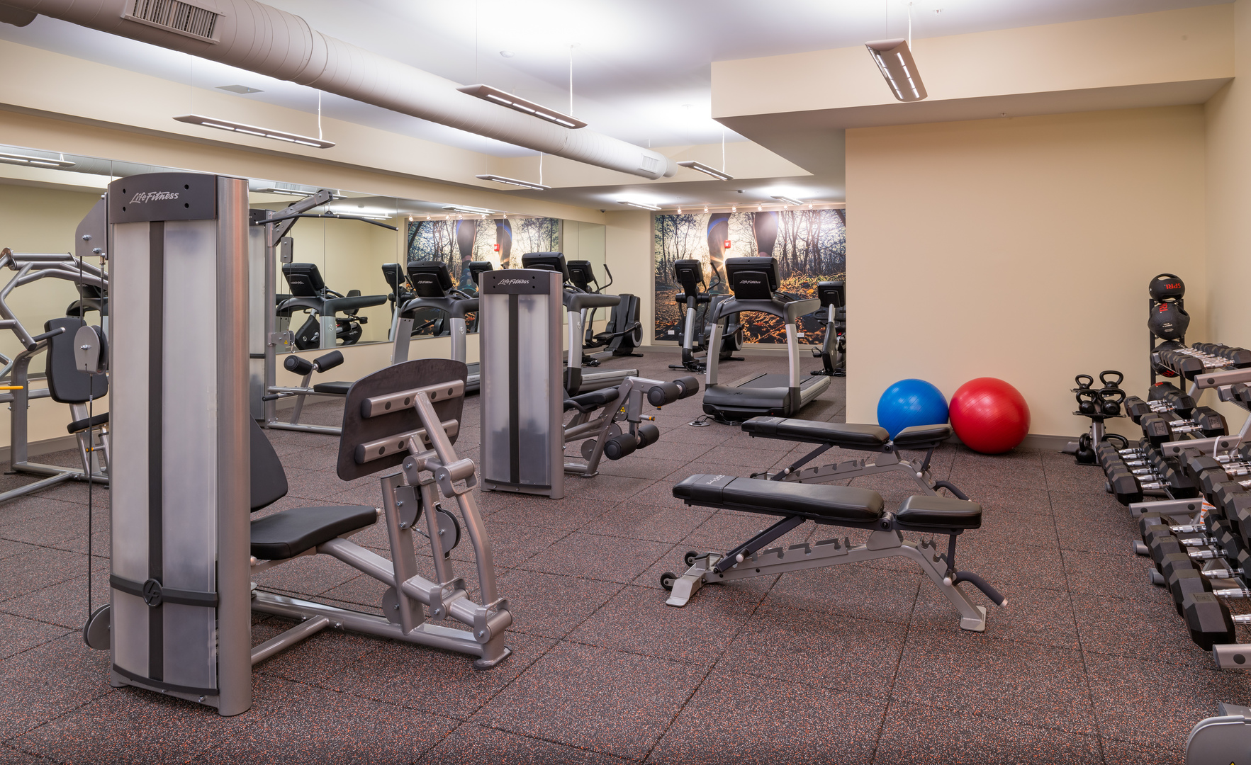255 North Addison Avenue, Unit 431 Elmhurst, IL 60126 - Photo 20 of 21 a view of a room with gym equipment