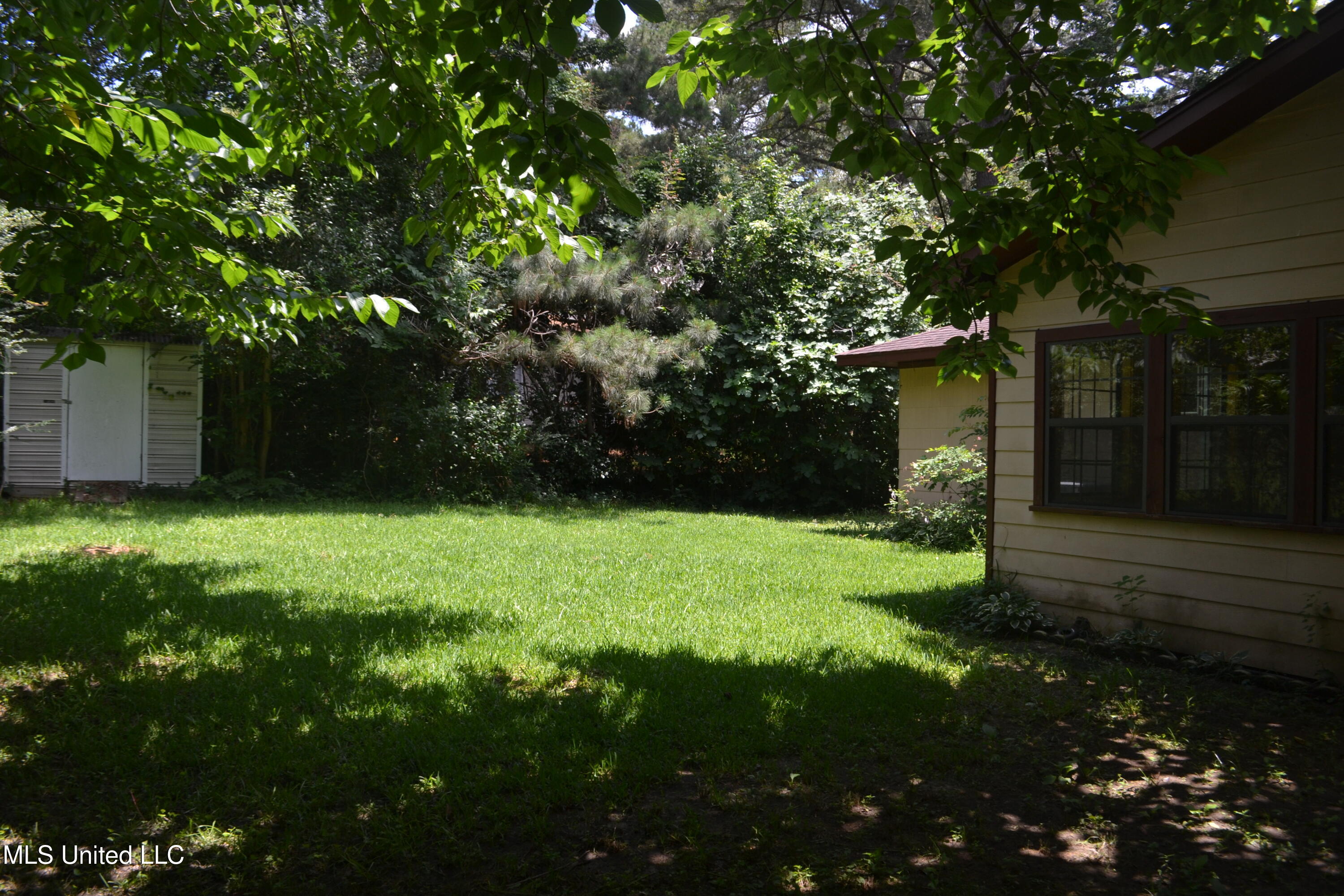 236 East Moon Street Ridgeland, MS 39157 - Photo 15 of 17 DSC_0115