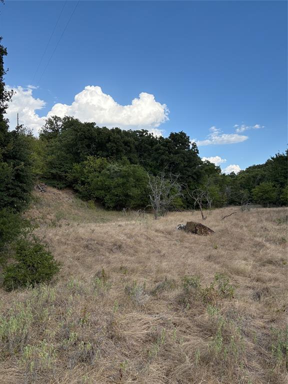 271 Wyatt Road Jacksboro, TX 76458 - Photo 31 of 40 Expansive open land featuring natural grasses and mature trees