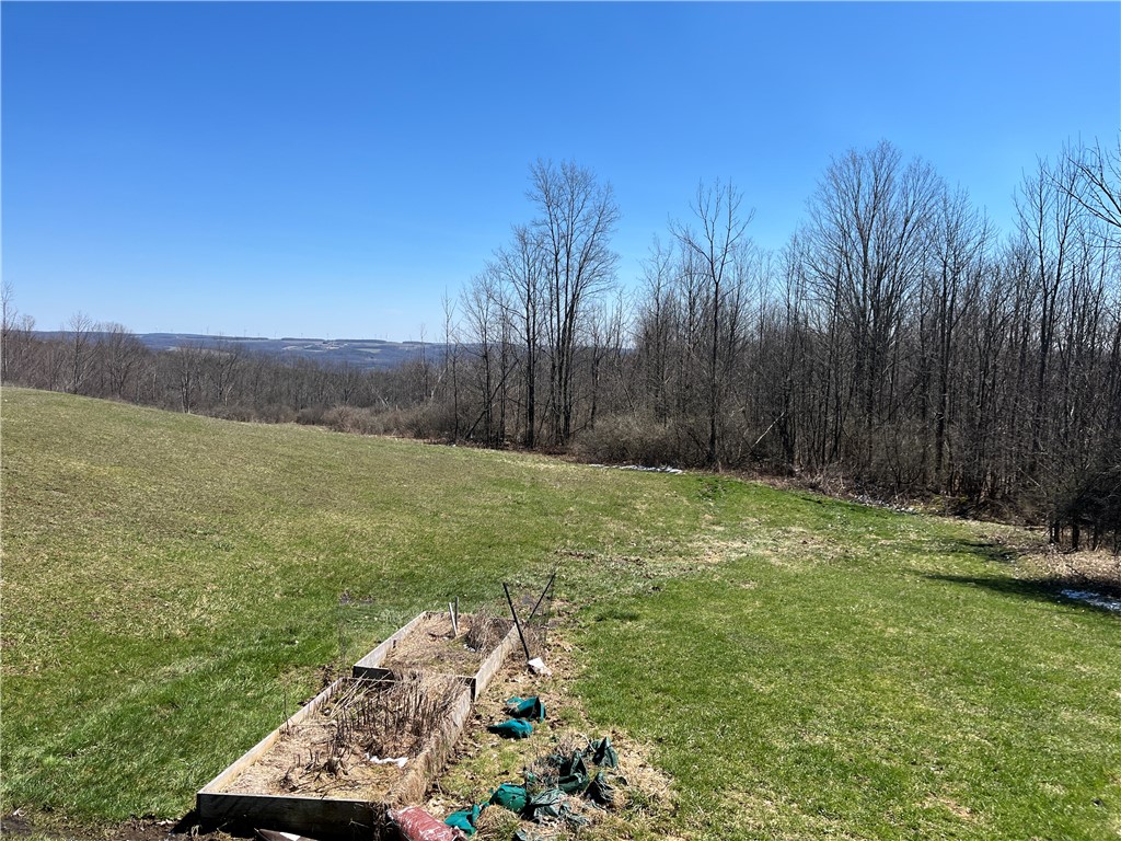 8970 Cook Road Arkport, NY 14807 - Photo 31 of 35