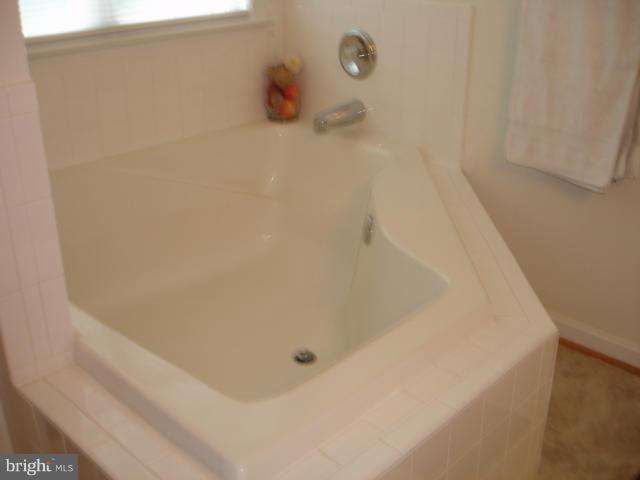 11353 Barnes Road Catlett, VA 20119 - Photo 15 of 30 Bath (Master)